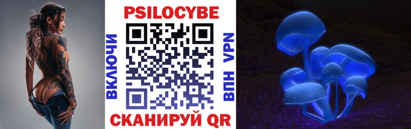 что такое   Дубна  Псилоцибиновые грибы мухоморы 