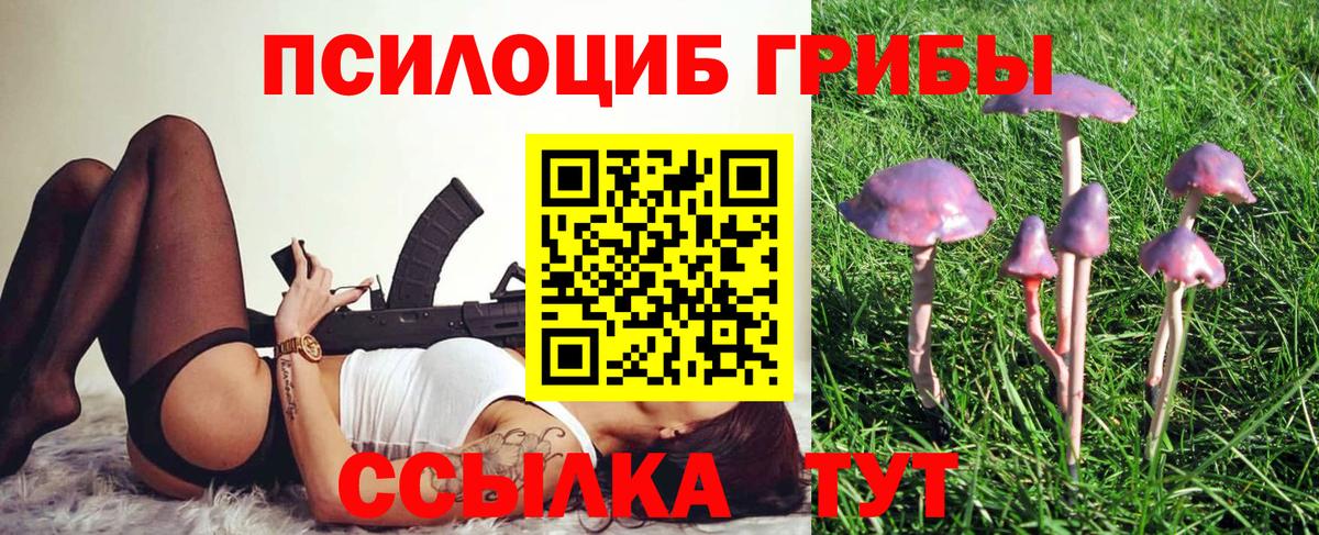 Псилоцибиновые грибы GOLDEN TEACHER  Вход с VPN  Галлюциногенные грибы ЛСД  Дубна 